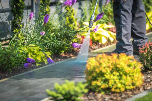 Best Winterizing Services  in Cresco, IA
