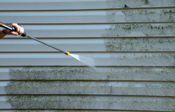 Solar Panel Cleaning in Cresco, IA